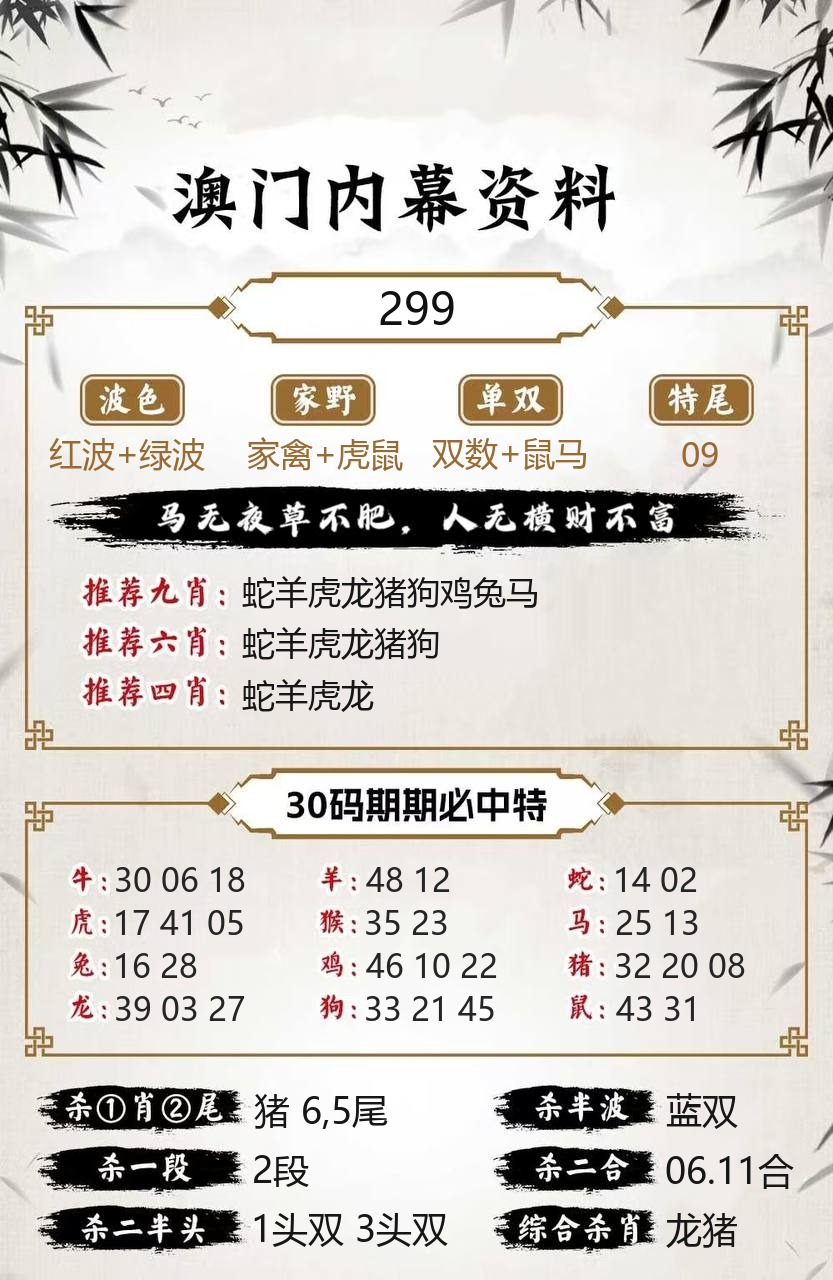 台湾彩内幕资料模板